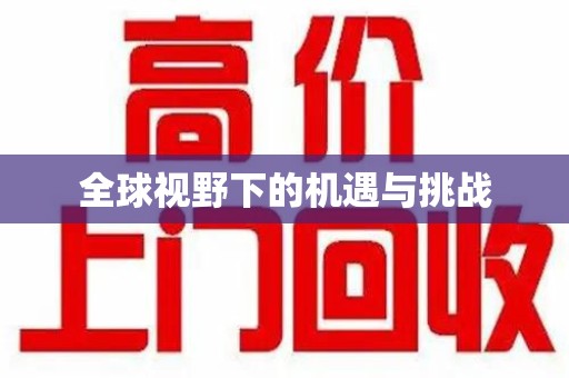 珠海全球视野下的机遇与挑战