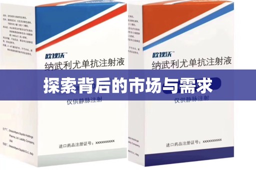 珠海探索背后的市场与需求