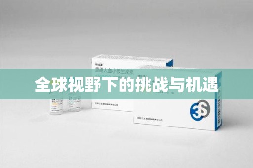 珠海全球视野下的挑战与机遇