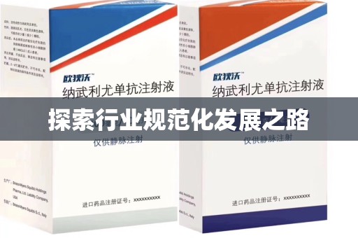 珠海探索行业规范化发展之路
