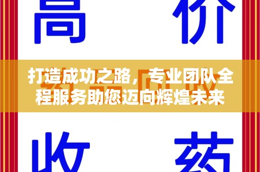 珠海打造成功之路，专业团队全程服务助您迈向辉煌未来