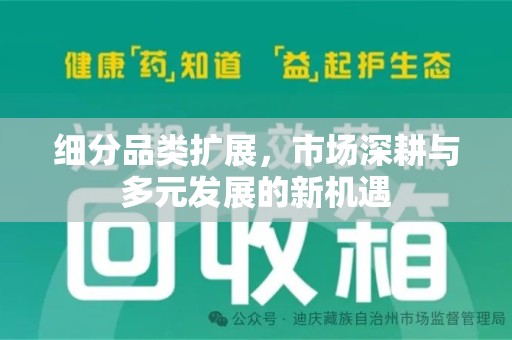 珠海细分品类扩展，市场深耕与多元发展的新机遇