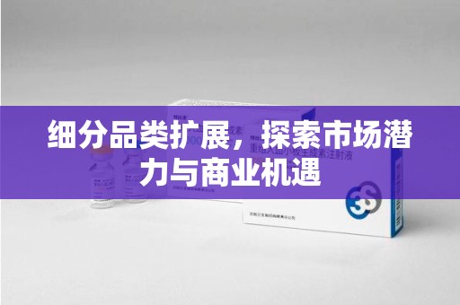 珠海细分品类扩展，探索市场潜力与商业机遇