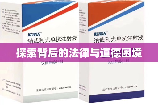 珠海探索背后的法律与道德困境